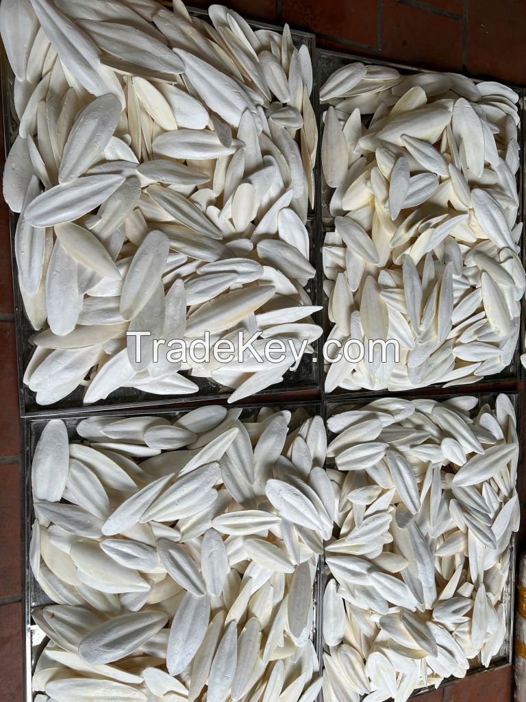 Cuttlefish bone 447549837432