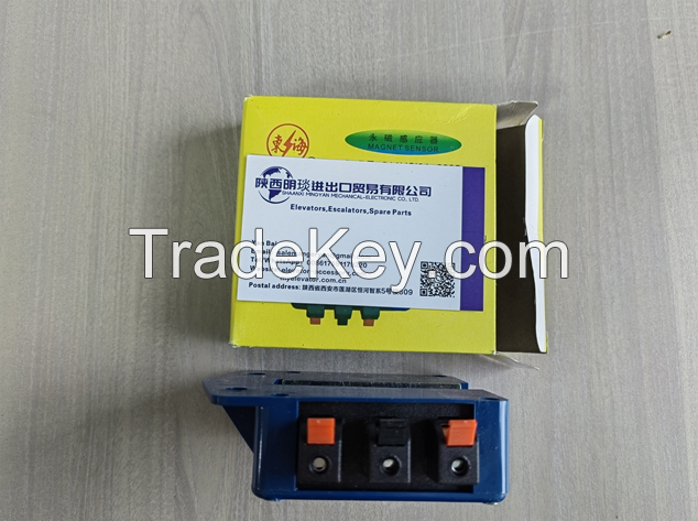 Permanent magnet inductor