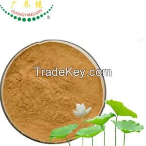 Natural Slimming Weight Loss Lotus Leaf Extract 4% Nuciferine Powder Nuciferine