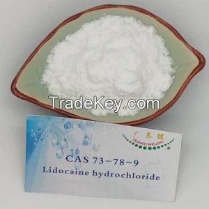 Lidocaine Hydrochloride Procaine Tetracaine Benzocaine Hydrochloride Powder CAS 73-78-9/137-58-6/59-46-1/51-05-8/136-47-0/94-09-7//94-24-6 Lidocaine