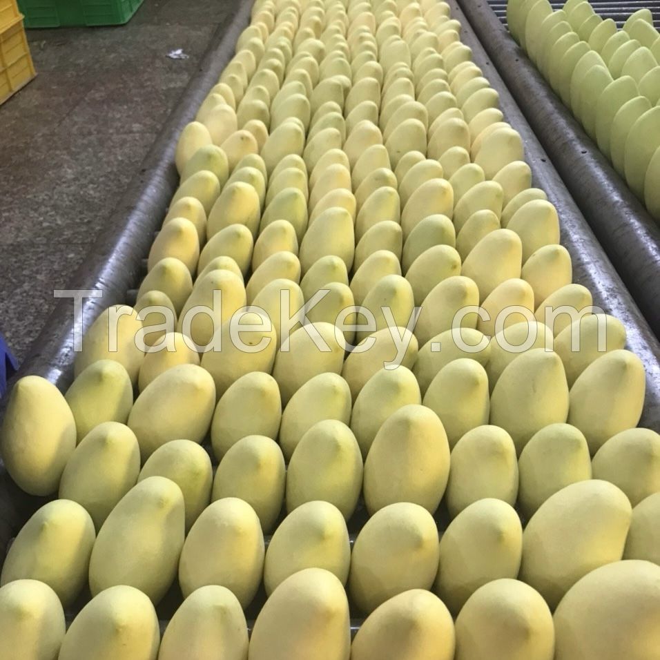 Cavendish Bananas, Fresh Mango