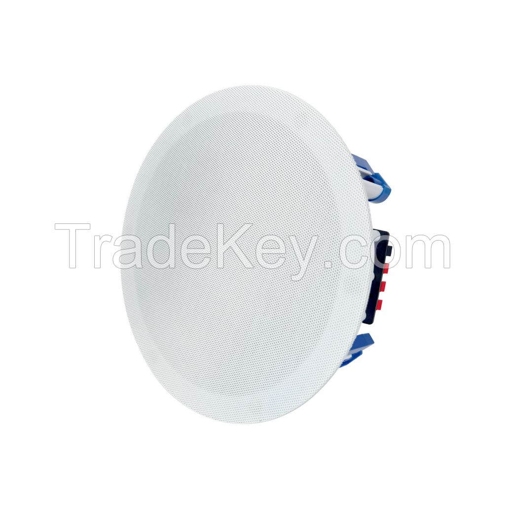 Ceiling speaker C2