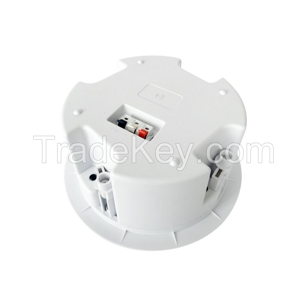 Ceiling speaker C11