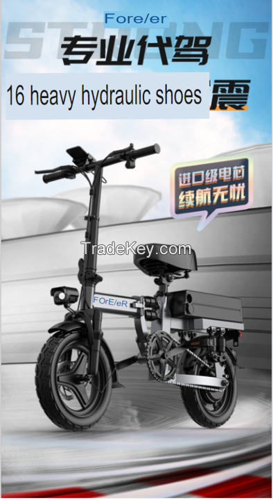 Electric Bike