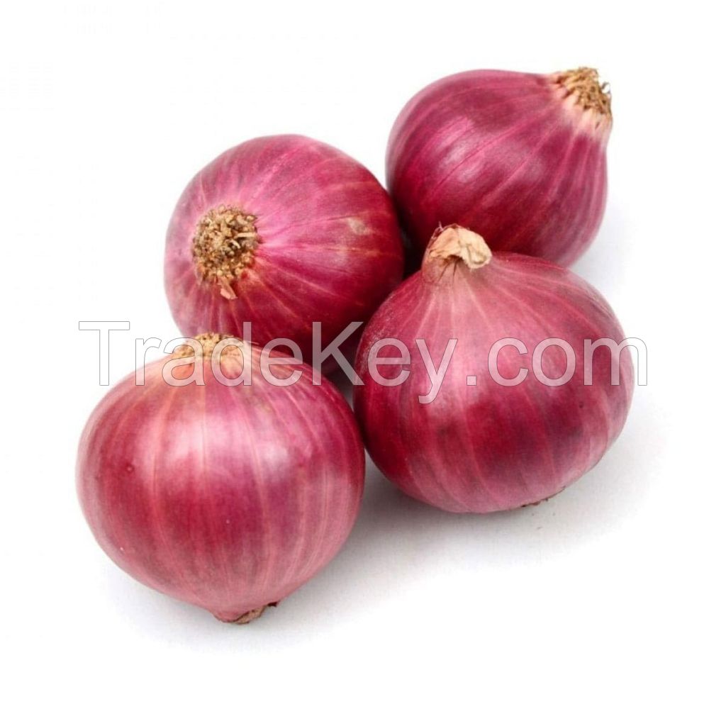 Fresh Onions