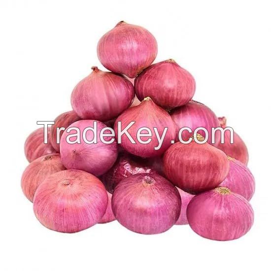 Fresh Onions