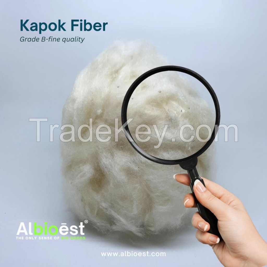 Kapok Fiber