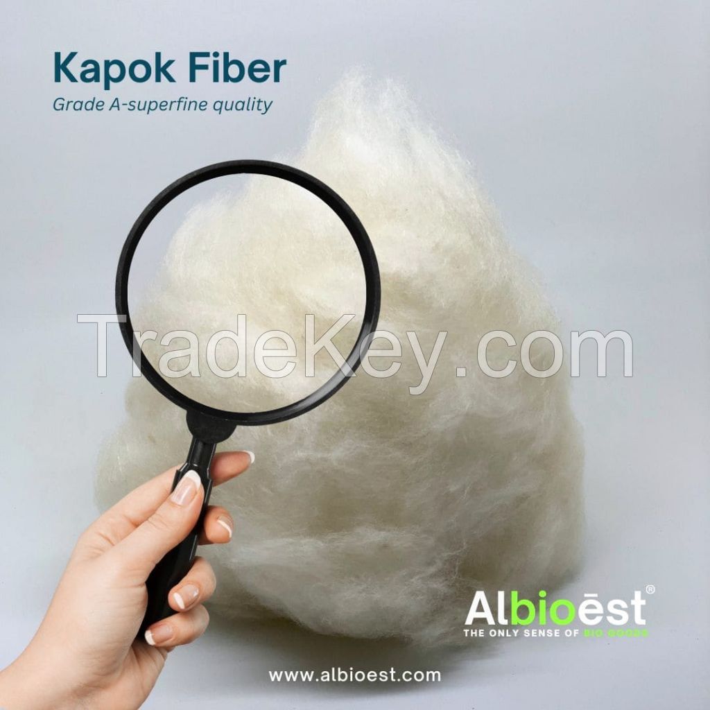 Kapok Fiber