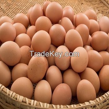 BROWN CHICKEN EGGS