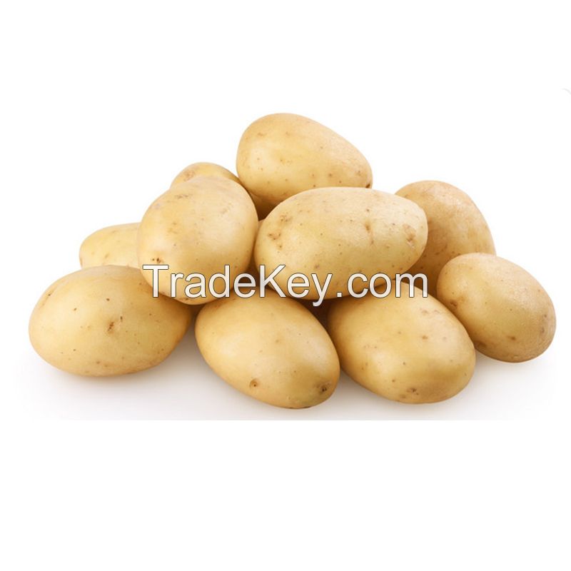 FRESH POTATOES