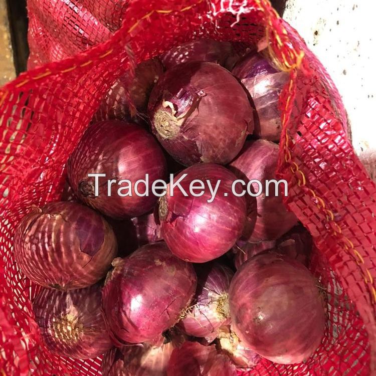 FRESH RED ONION