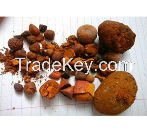 Cow Gall Stones / Ox Gallstones