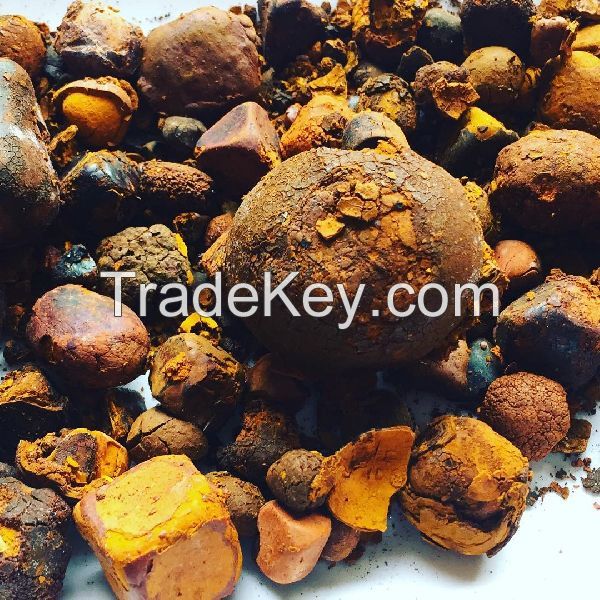 Cow Gall Stones / Ox Gallstones