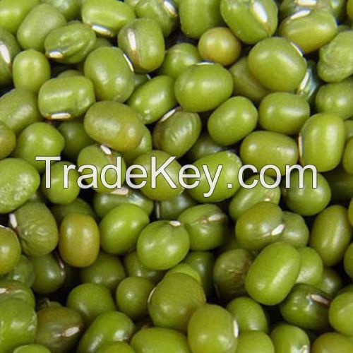 GREEN MUNG BEANS