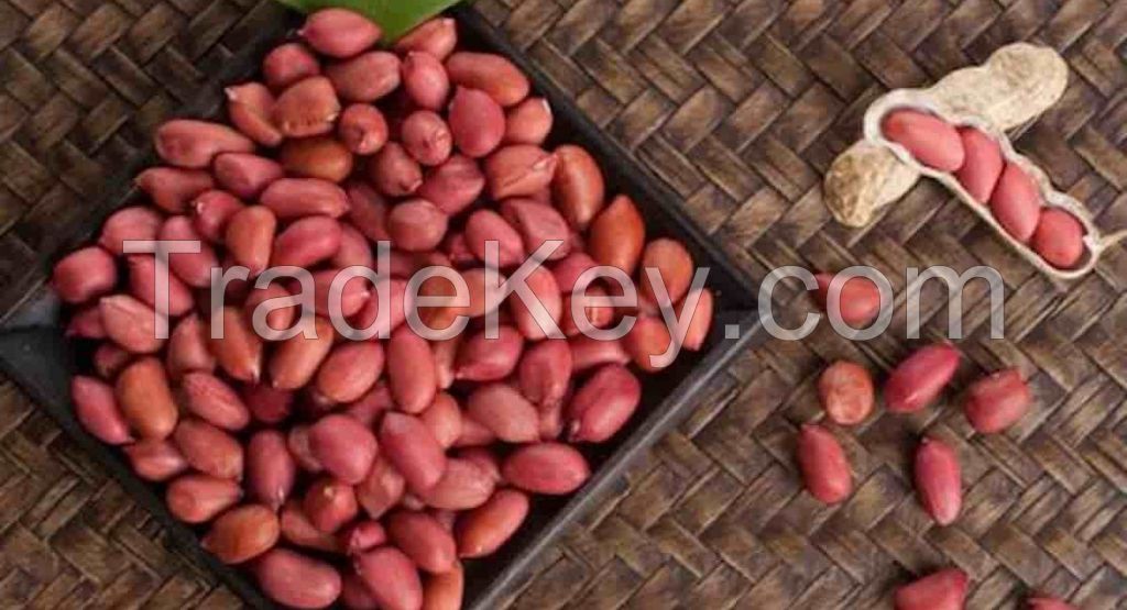 HIGH-PROTEIN NATURAL PEANUTS AVAILABLE FOR SALE