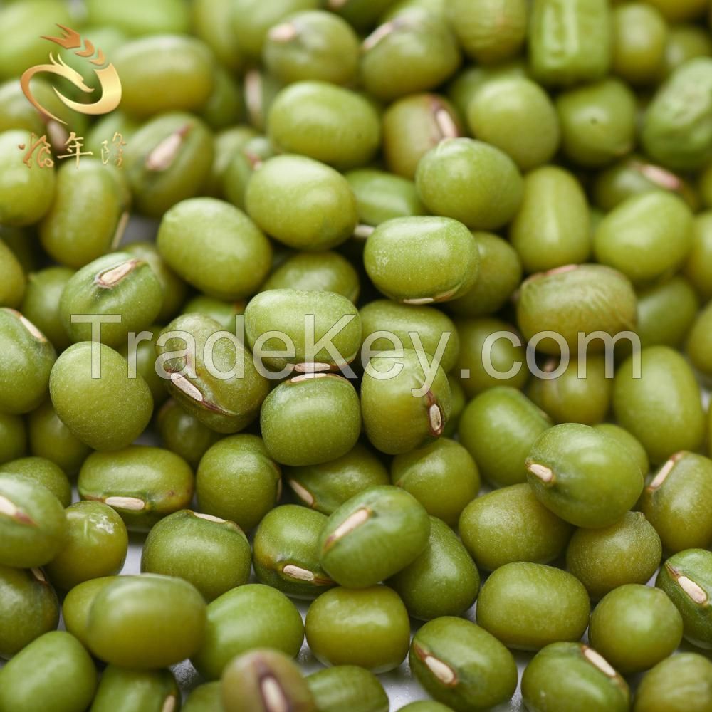 GREEN MUNG BEANS