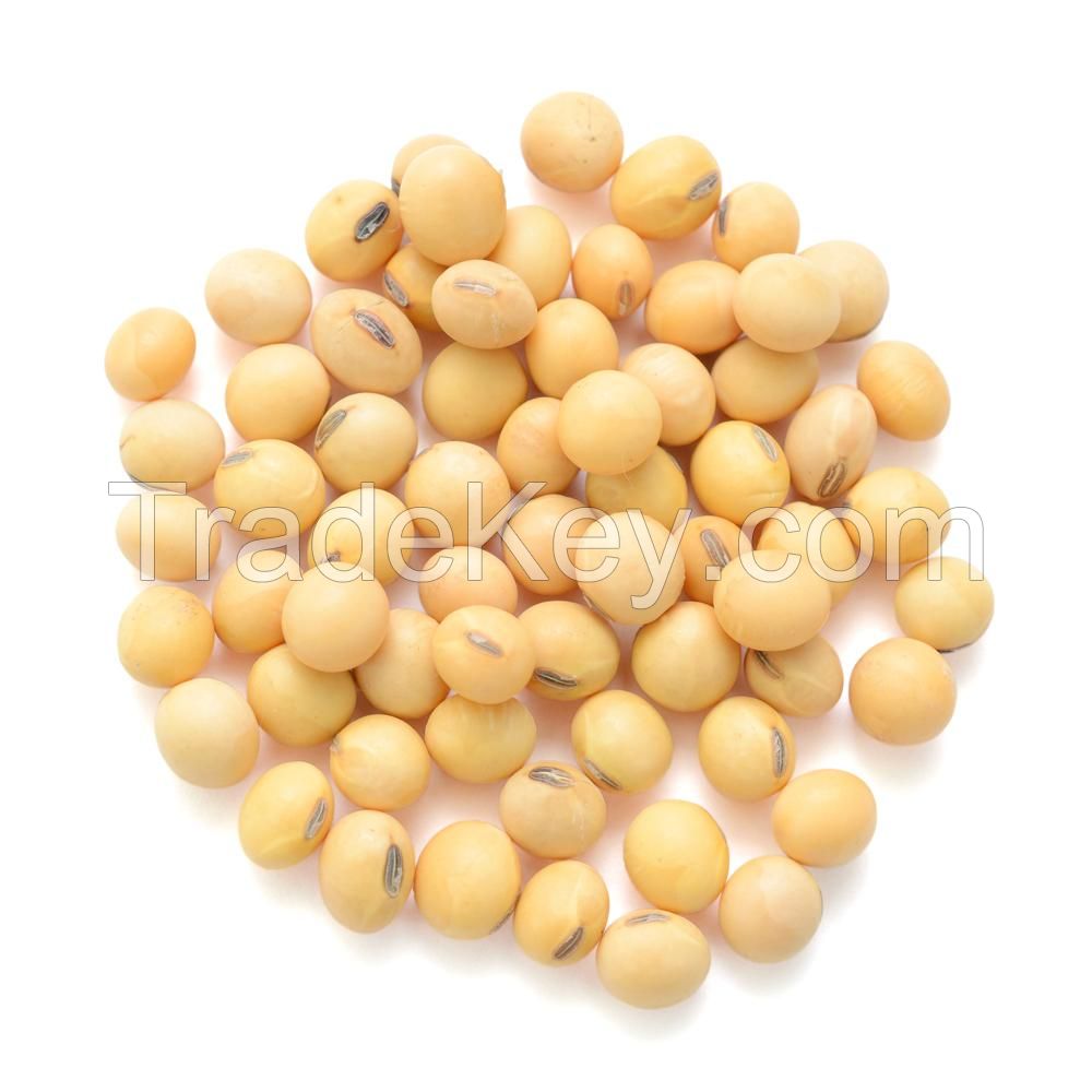 NON GMO SOYBEANS