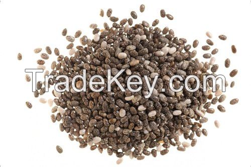 HIGH-QUALITY ORGANIC CHIA SEEDS FOR SALE