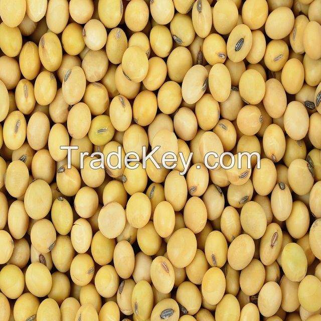 INTERNATIONAL NON GMO SOYBEANS FOR SALE