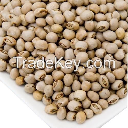 PIGEON PEAS