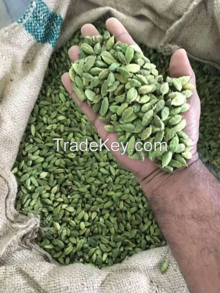 GREEN CARDAMOM Jumbo Bold 6.5 mm to 8mm