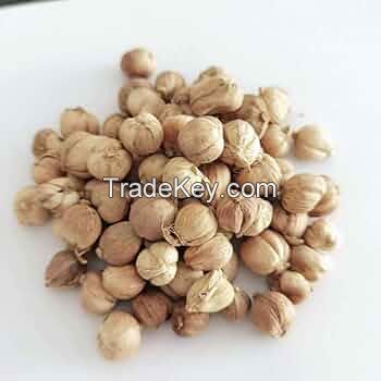 WHITE CARDAMOM