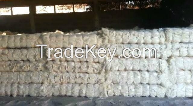 SISAL FIBER