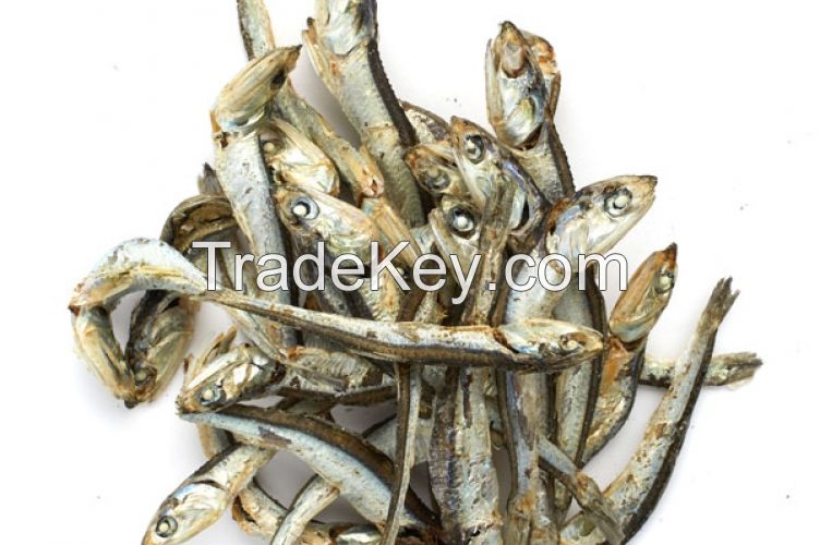 DRIED ANCHOVY FISH