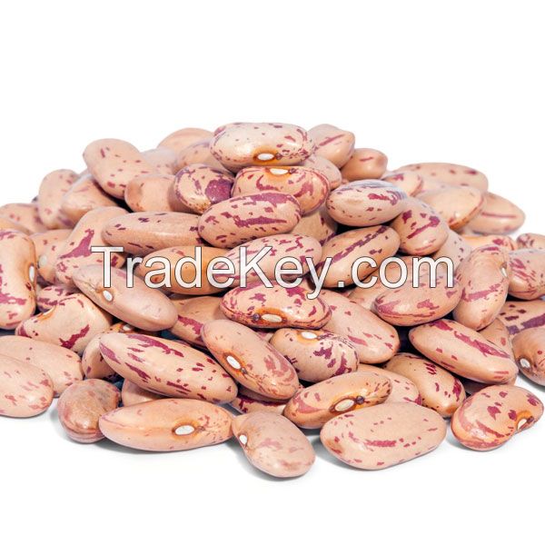 RED SPCKLED SUGAR BEANS