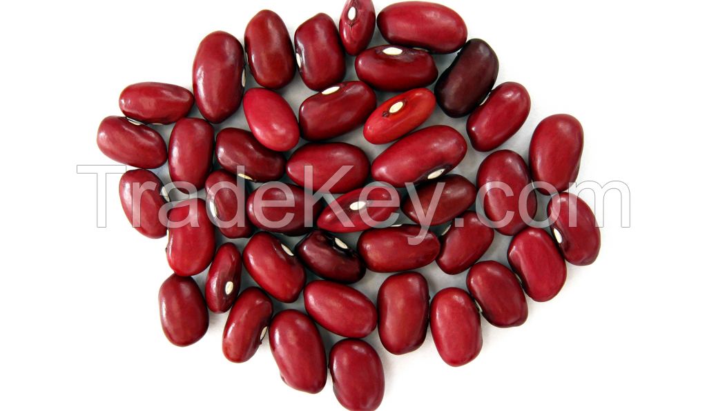 PREMIUM HIGH-PROTEIN RED KIDNEY BEANS