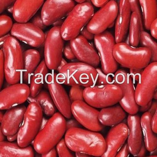 RED KIDNEY BEANS