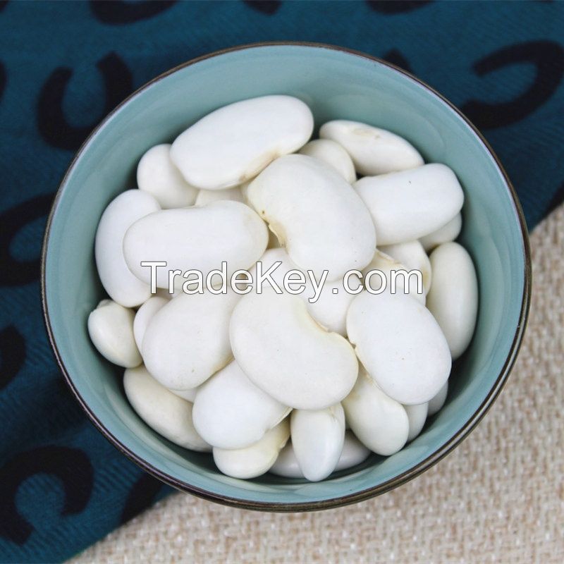 WHITE KIDNEY BEANS