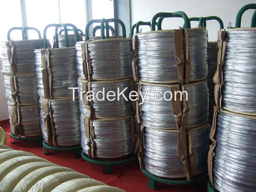 Stainless Steel Wire 