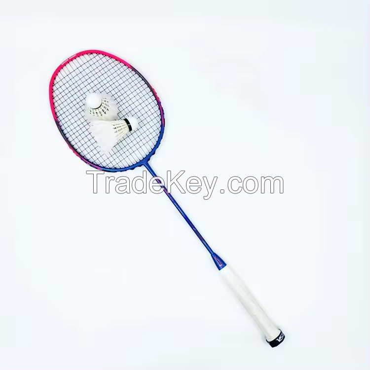 Dmantis Training High Quality 5U Level Full Carbon Badminton Shuttlecork Racket D7 Badminton Racket