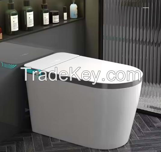 Smart Toilet