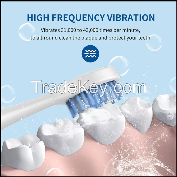 JIDENG electric toothbrush high quality adult rechargeable battery operated waterproof electric toothbrush sonic