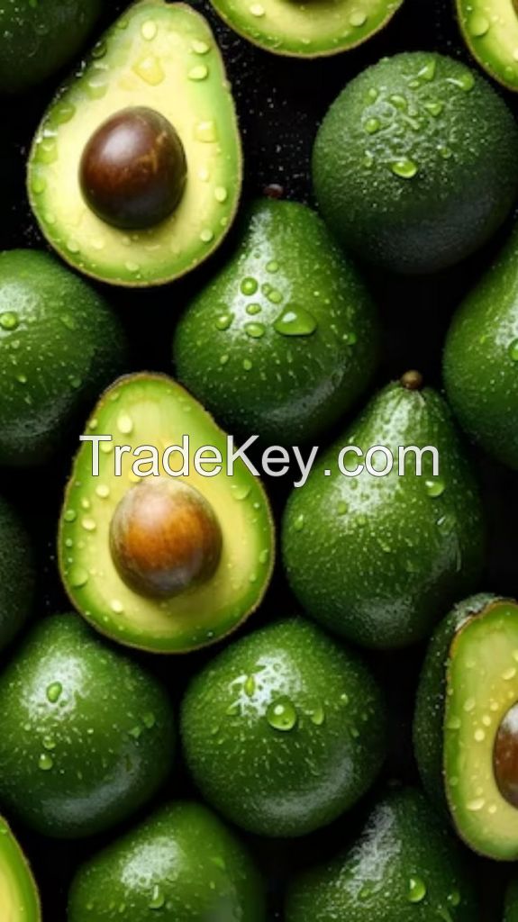 Fresh Quality Avocado