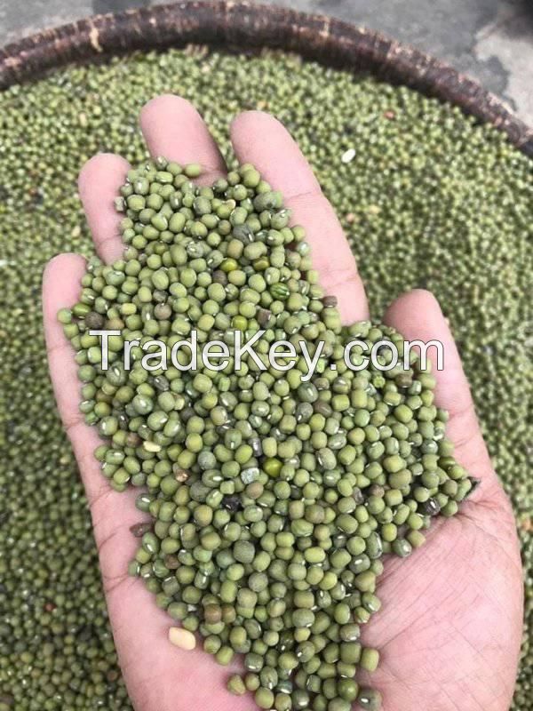 green mung beans