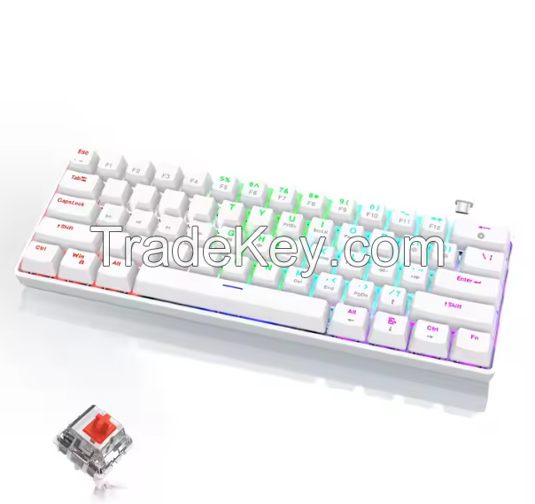 60% Mechanical Gaming Keyboard Ergonomic Durable Detachable C-Cable Mini White Gaming Keyboard with Red Switch