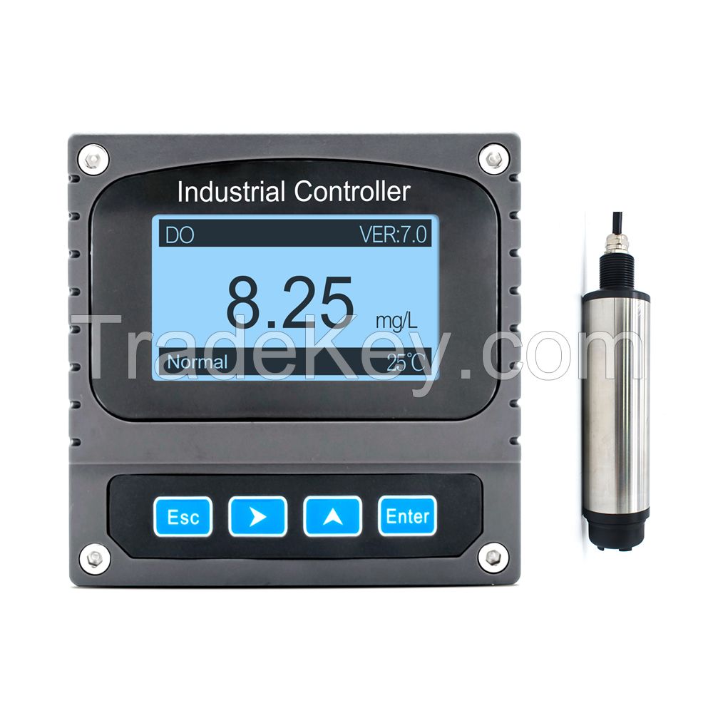 Dissolved Oxygen Meter