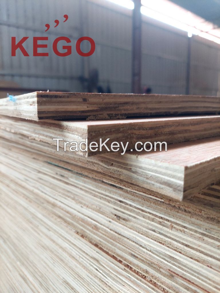 Bintangor Faced Commercial Plywood