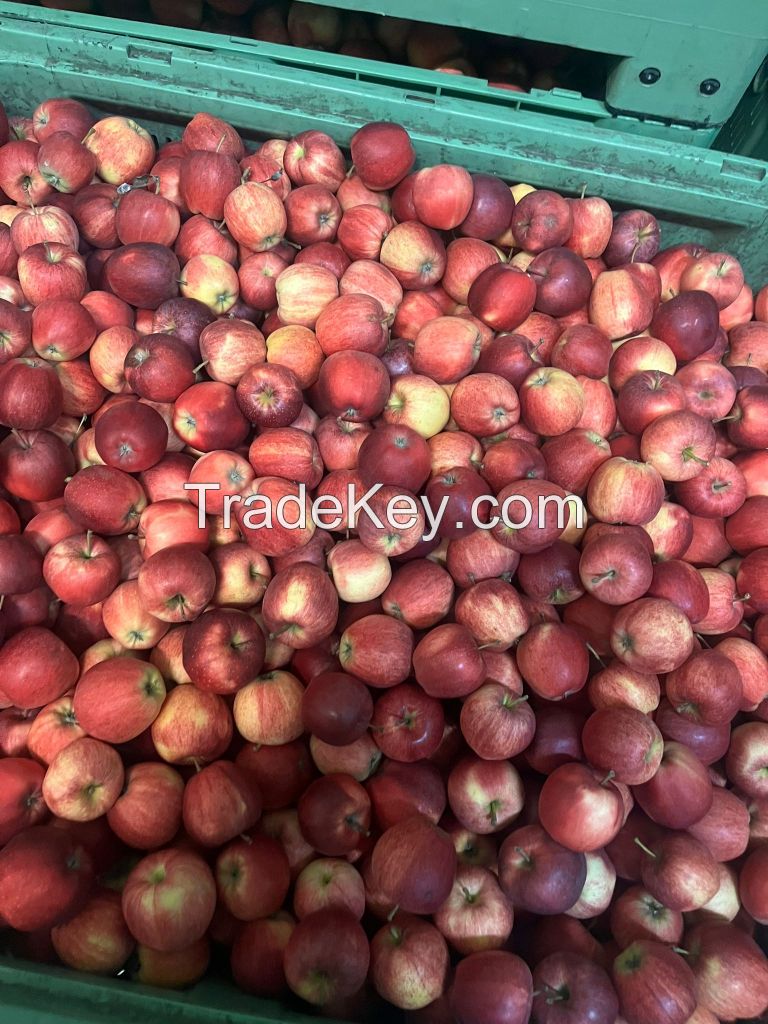 Apples from Poland