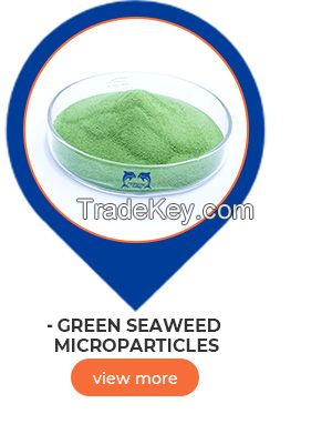 seaweed extract organic fertilizer for vegetables and fruits