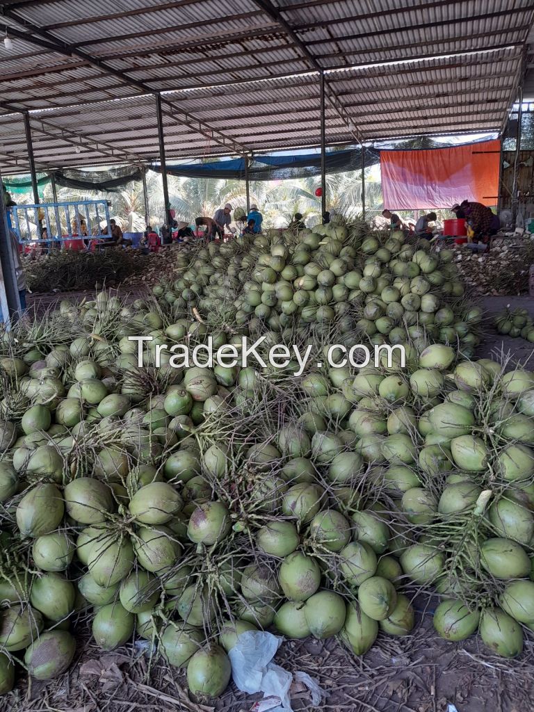 Fresh Young Coconut