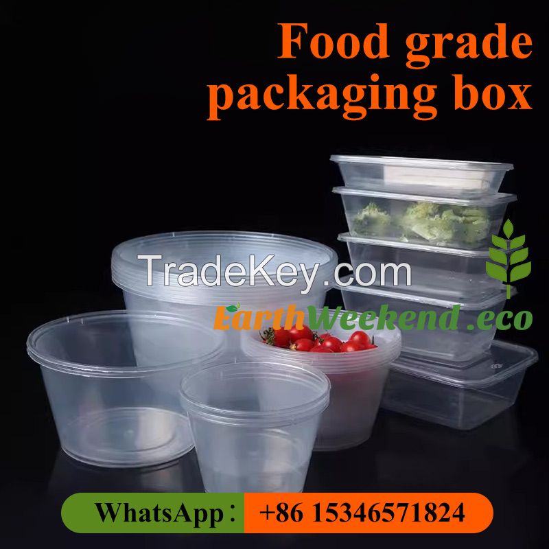 Rectangle PP Lunch Box / Food Grade Container/ Disposable Plastic Food Box