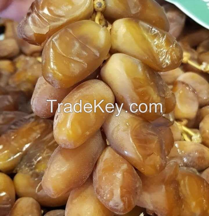 Organic Natural Premium Dates - High-Quality Algerian &amp;quot;Deglet Noor&amp;quot; Dates, AAA Fresh Dates Fruit, Wholesale Factory Supplier (OEM, ODM)