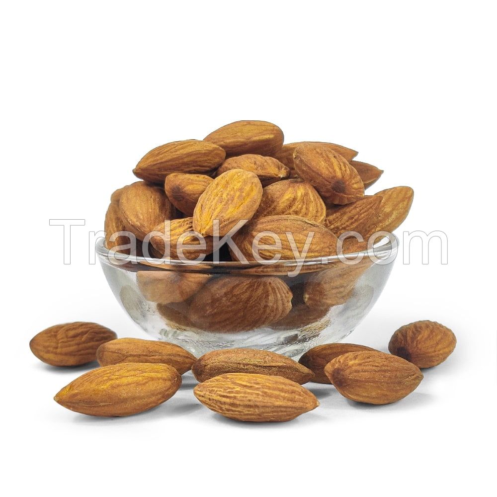 Wholesale Almond Nuts For Sale In Cheap Price Bulk Quantity Available