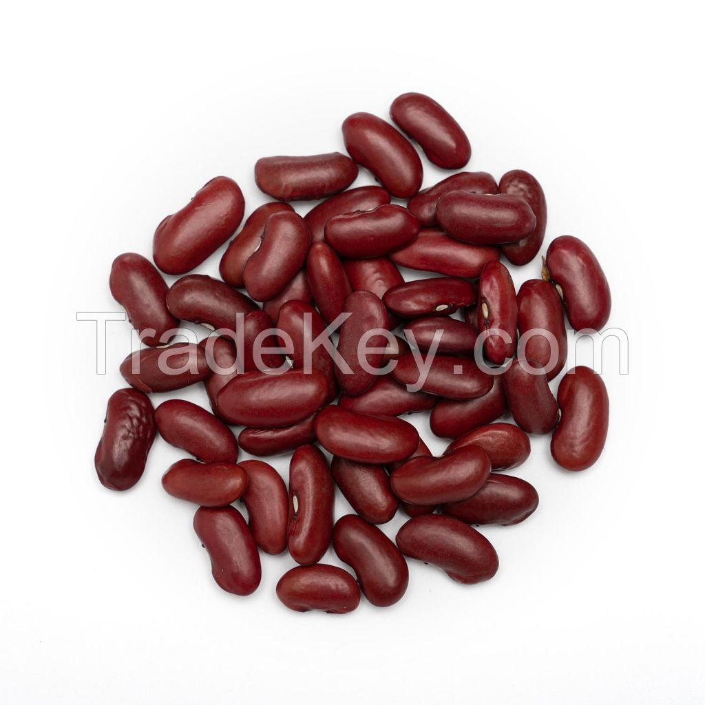 Red Kidney Beans Wholesale Dark Red Kidney Beans With Export Red Kidney Beans High Quality