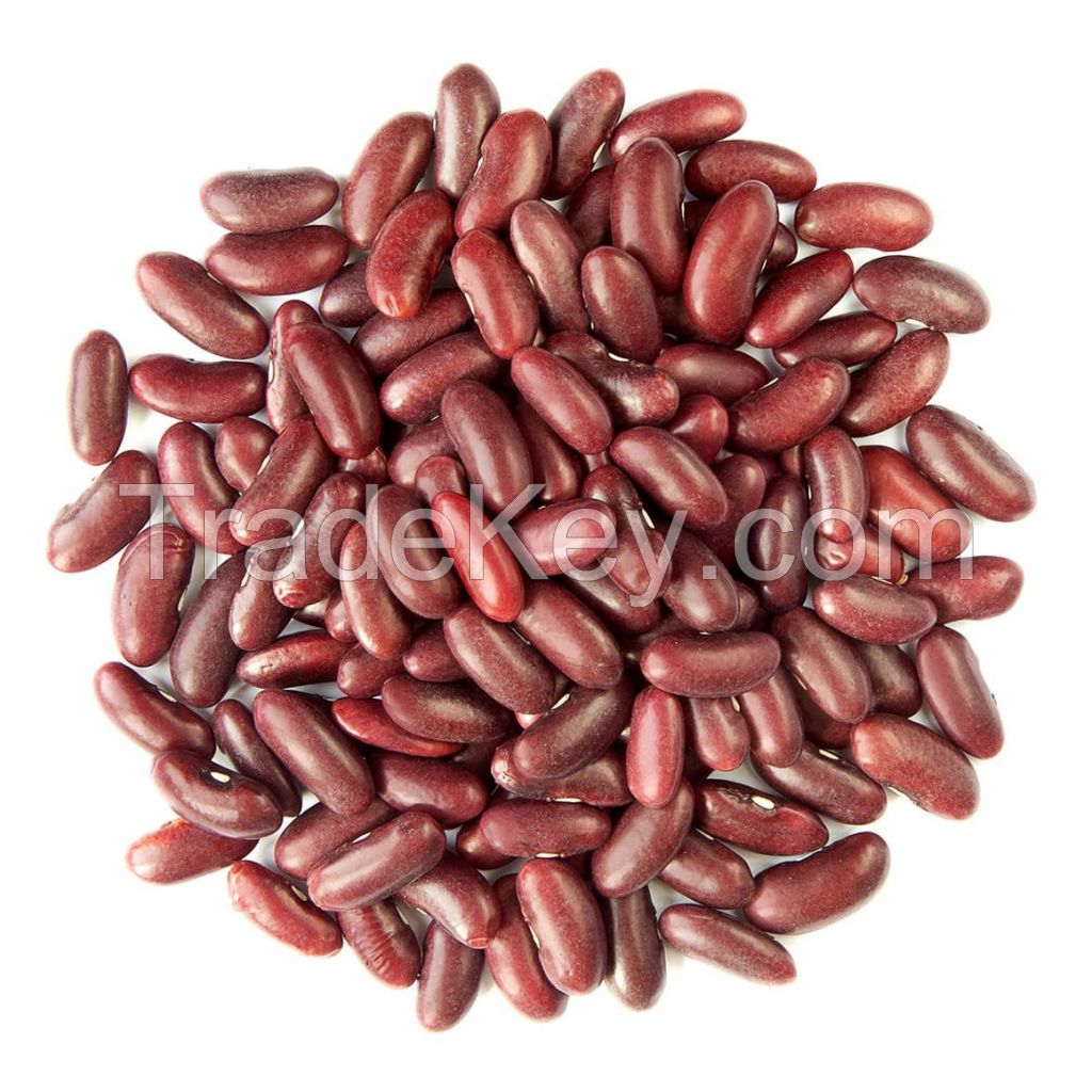 Red Kidney Beans Wholesale Dark Red Kidney Beans With Export Red Kidney Beans High Quality