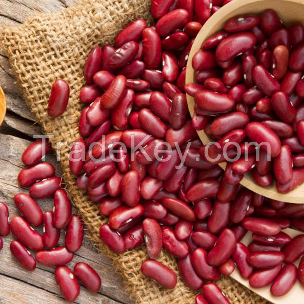 Red Kidney Beans Wholesale Dark Red Kidney Beans With Export Red Kidney Beans High Quality